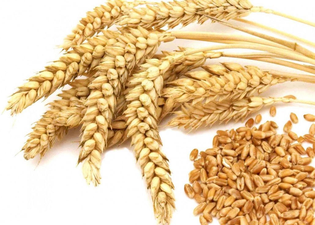wheat image (2)